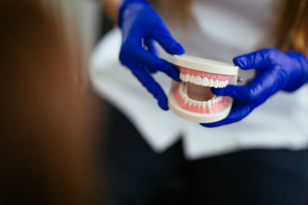 Best Preventive Dentistry  in Carrboro, NC